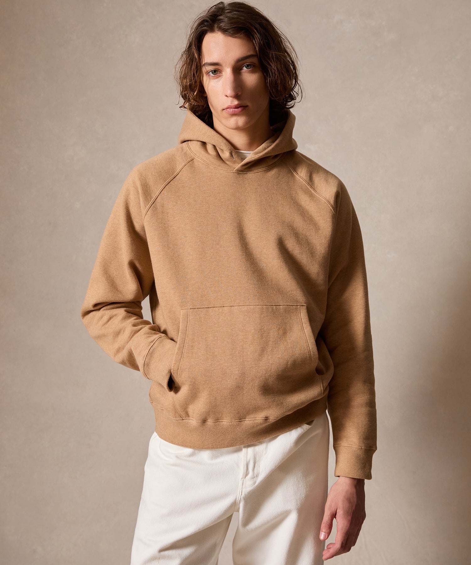 Cotton-Camelhair Fleece Hoodie in Camel - Image 2
