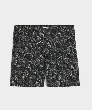 5 Collection Swim Trunk