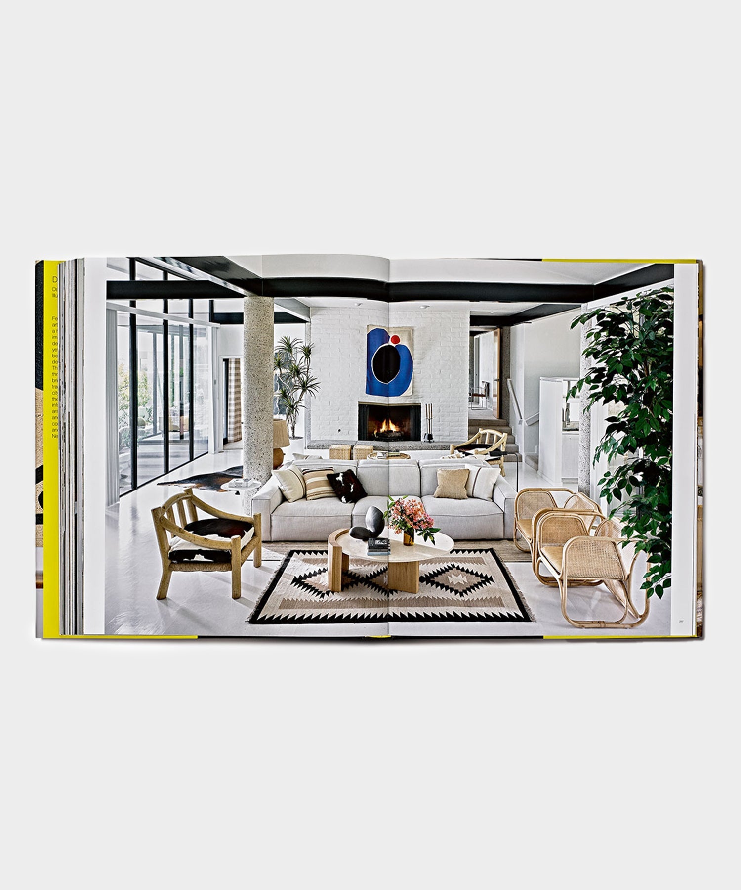 Phaidon David Netto Book - Image 2